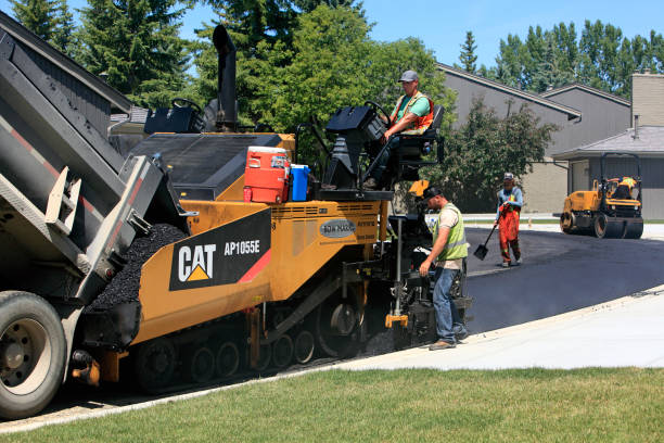 Best Custom Driveway Pavers  in Plains, TX
